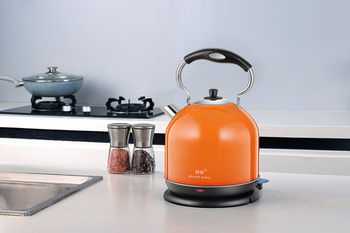 小家電市場新藍海 日用百貨領域的創新機遇