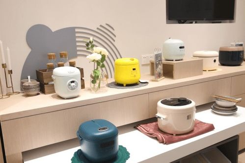 小熊電器 沿襲創新設計基因，驅動品牌可持續發展