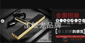 廠價直銷，開啟智慧安防新生活——揭秘高端智能品牌指紋密碼防盜鎖308